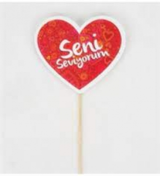 Seni Seviyorum